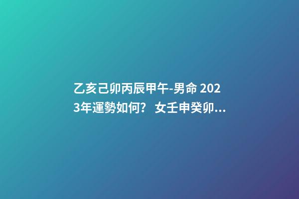 乙亥己卯丙辰甲午-男命 2023年運勢如何？ 女壬申癸卯丁亥辛丑，2023年運勢怎么樣，謝謝